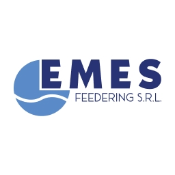 EMES logo