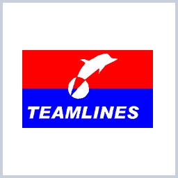 Team Lines logo