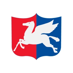 Dong Young Shipping logo