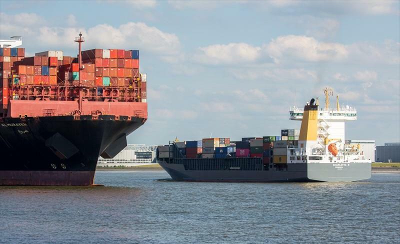 Yang Ming Container Tracking | Track Yang Ming Cargo Online - SeaRates